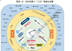 顯揚(yáng)科技亮相央視直播間